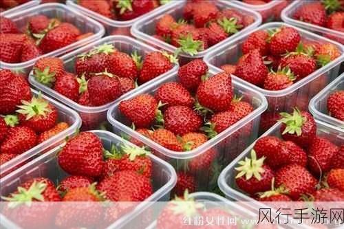 草梅视频-草梅的魅力：探索甜美滋味与健康益处 🍓✨