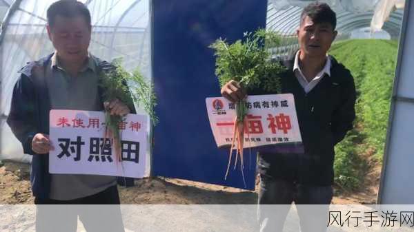 小草神坐旅行者胡萝卜-小草神与旅行者胡萝卜的奇妙旅程🌱✈️