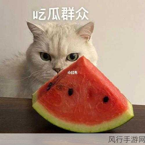 吃瓜 重磅泄密-重磅泄密！吃瓜群众疯狂围观👀🍉