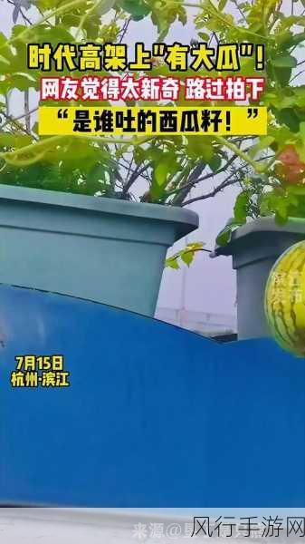 51热门大瓜今日大瓜最新-今日热议：51大瓜引发网友疯狂讨论！🍉🔥