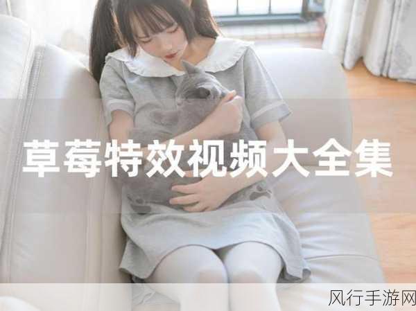 草莓視頻v287-草莓视频v287精彩内容大揭秘🍓🎥