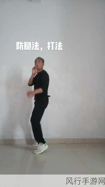 胡桃腿法娴熟脚法-提升胡桃腿法,掌握灵活脚法技巧✨🥋
