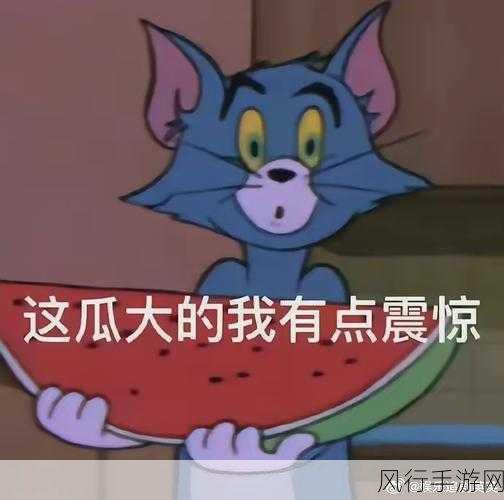 51.cgfun吃瓜-探秘51.cgfun吃瓜内幕，真相大揭秘！🍉🔍