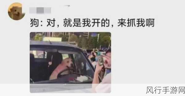 坐公交车被c了2个小时漫画-公交车上的意外遭遇与反思🚏😱