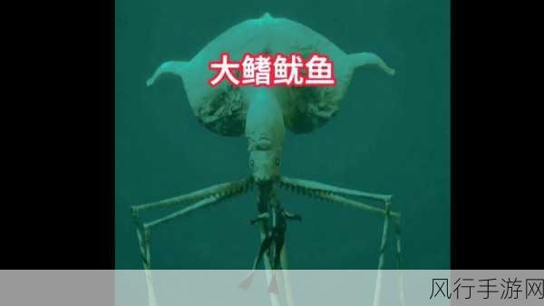 鱿鱼b2577永久地址-拓展鱿鱼B2577永久地址分享 🌊🦑