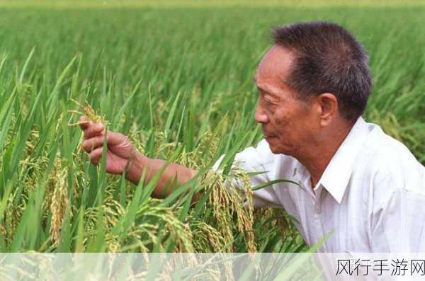 儿子替父耕亩田-儿子接过父亲的农田重任🌾👨‍🌾