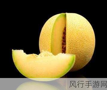 黑瓜料网-拓展黑瓜料网,开启全新视界!🌟🍉