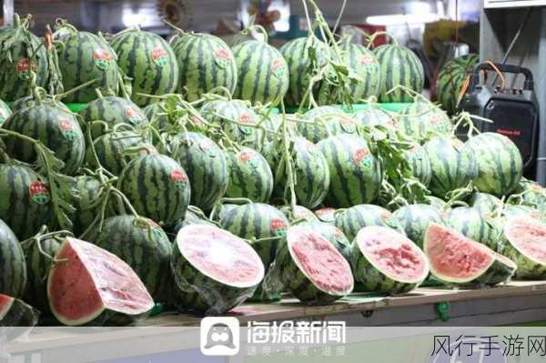吃瓜网 独家爆料 曝光揭秘-独家揭秘：吃瓜网背后的真相大曝光 🍉🔍