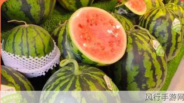 吃瓜网 独家爆料 曝光揭秘-独家揭秘：吃瓜网背后的真相大曝光 🍉🔍