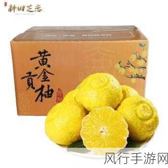 蜜柚污染版1.6.6-蜜柚污染版1.6.6：探索全新冒险之旅🌟🍊