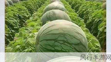 今日吃瓜黑料-海外吃瓜-海外吃瓜新鲜黑料大揭秘🍉🌍