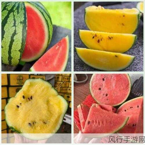 今日吃瓜黑料-海外吃瓜-海外吃瓜新鲜黑料大揭秘🍉🌍