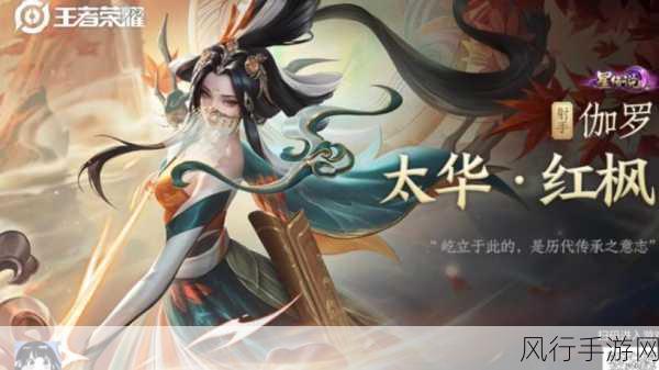 伽罗腿法娴熟脚法图片-娴熟脚法展现伽罗腿法的魅力⚡️👟