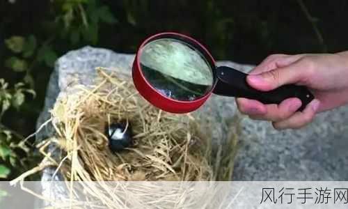 大神黑料无码-大神黑料无码揭秘，真相大白！🔥🔍