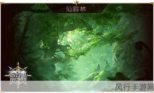 仙踪林Corporation大陆-仙踪林Corporation大陆探秘之旅✨🌍