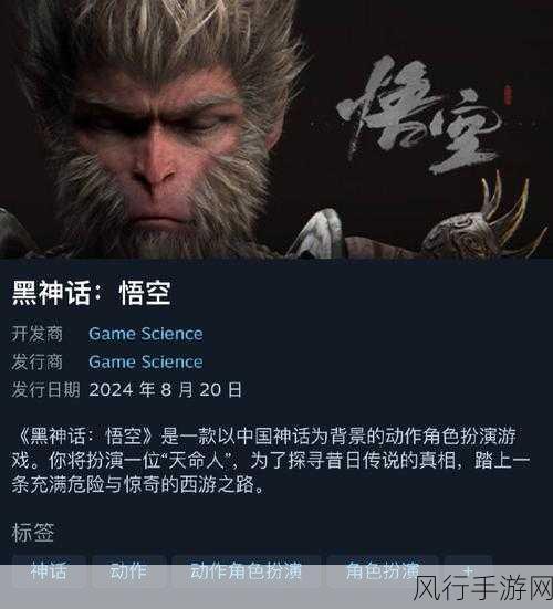 黑神话,悟空风波背后,外媒误读下的玩家行为与市场真相