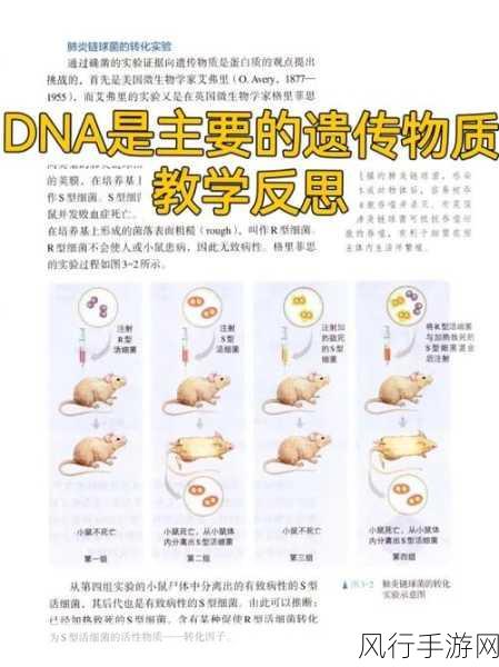 生物老师让班长当教学器材-班长担任教学器材，探索生物新世界！🌱🧬