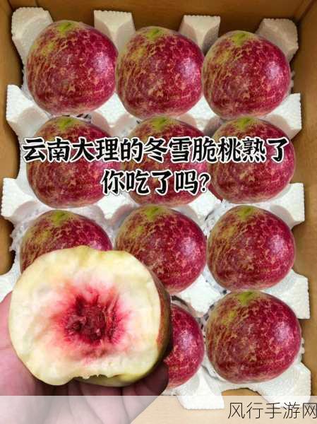 坤坤寒进桃子里嗟嗟嗟的更新时间-坤坤寒进桃子里的精彩瞬间更新啦!🍑❄️