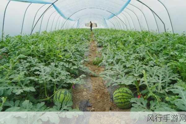 166fun吃瓜热门爆料正能量在线-探索166fun吃瓜热点，正能量满满！✨🍉
