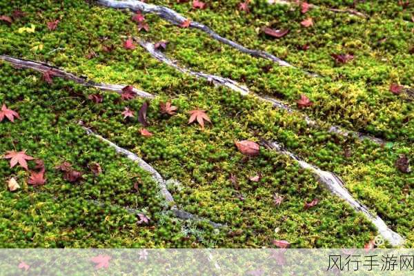 日本精品乱码-探索日本精品的独特魅力✨🍃