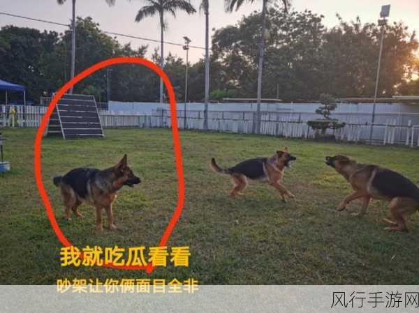 黑料网-解决找瓜难题,免费吃瓜看料!!!召集你的兄弟速来围观吃瓜:https://hl25-拓展黑料网 - 免费吃瓜,速来围观!🍉👀