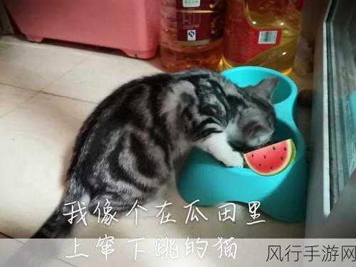 黑料网-解决找瓜难题,免费吃瓜看料!!!召集你的兄弟速来围观吃瓜:https://hl25-拓展黑料网 - 免费吃瓜,速来围观!🍉👀