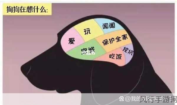 哈啊身体怎么变得越来越奇怪了-身体变化的奇怪原因探秘🧐🤔