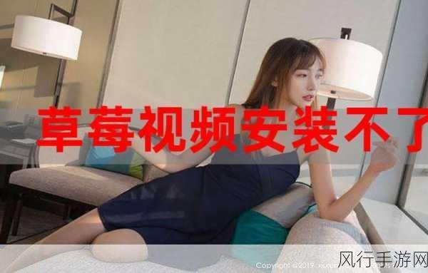 草莓视频下载二维码安装-草莓视频下载二维码安装教程 🍓📱