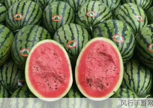 51情报站吃瓜爆料-51情报站全新吃瓜爆料大揭秘！🍉👀