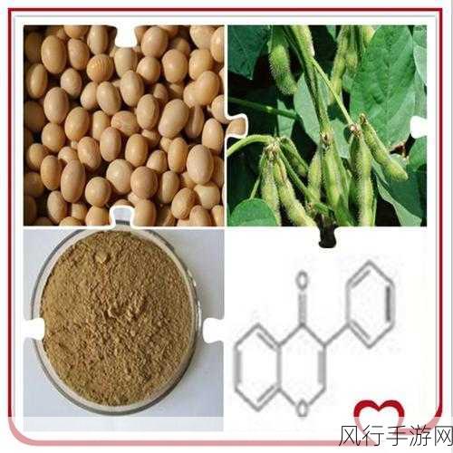 啦啦啦大豆行情网51的功能介绍-提升大豆行情网51功能全面介绍😊📈