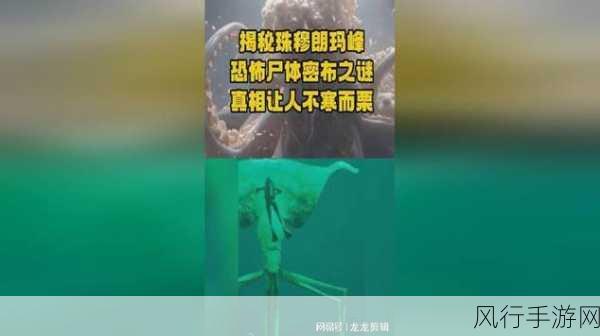 黑料 今日黑料-今日黑料大揭秘，真相让你震惊！😱🔍