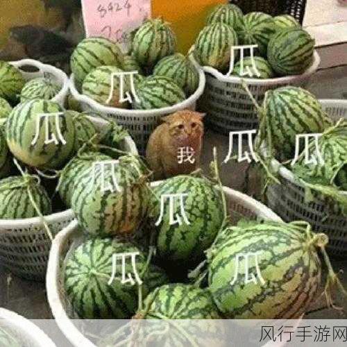 155 fun吃瓜爆料-155个趣味吃瓜爆料大揭秘！🍉😂