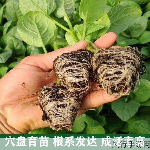 秋葵茄子丝瓜榴莲绿巨人-秋葵茄子丝瓜榴莲绿巨人的美味探秘 🍆🌱