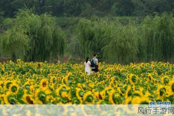 云南省XXXXXL17-云南省的美丽风景与人文魅力探索之旅 🌄🌸