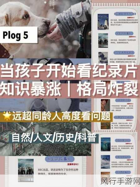 51国产黑料-探索51国产黑料的背后真相🔍📽️