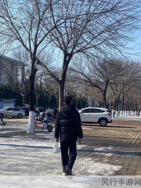 传奇私服神枫176合击引领复古风潮,财经数据透视游戏市场新动向