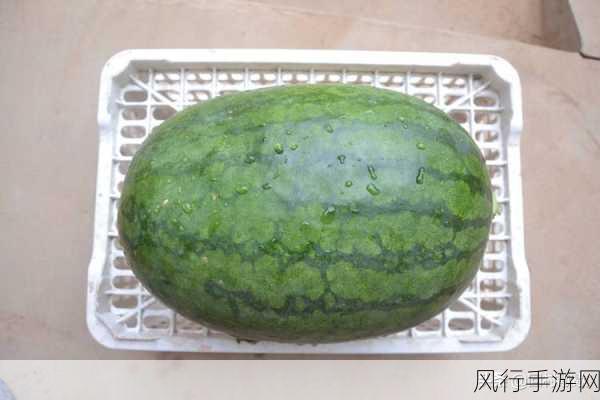 51吃瓜 爆黑料-51吃瓜：爆料内幕，真相大白！😲🍉