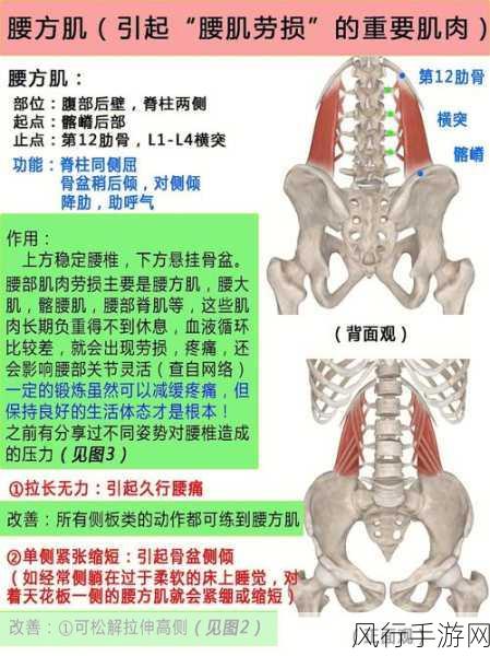 51cg5.朝阳群众-朝阳群众，守护安全的无形力量💪🛡️