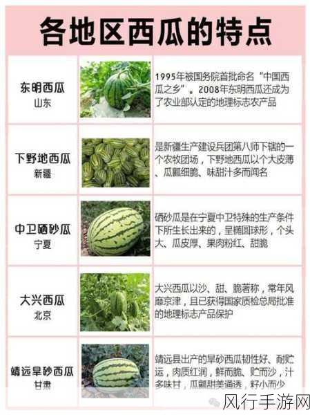 911爆料网吃瓜黑料在线heiliao-911爆料网吃瓜黑料在线，速来围观！🍉🔍