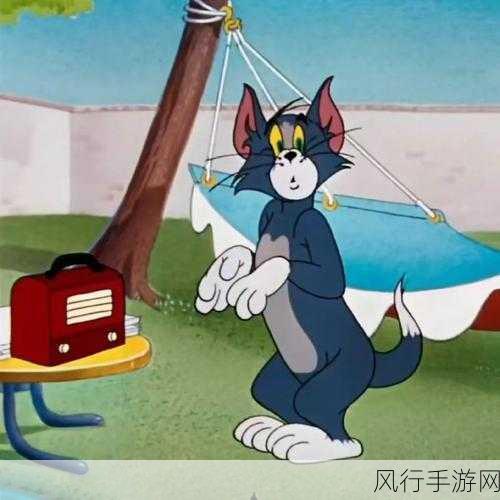 汤姆最新登录入口-汤姆最新登录入口指南与技巧 🌟🔑