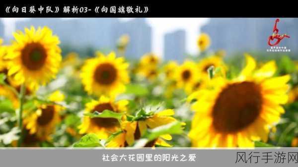 向日葵视频站长统计-向日葵视频站长数据统计与分析📊🌻