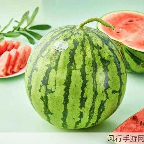 黑料网 黑料吃瓜圣地 解决找瓜难题 155.fun-黑料网155.fun：吃瓜圣地，轻松找料🍉🔍