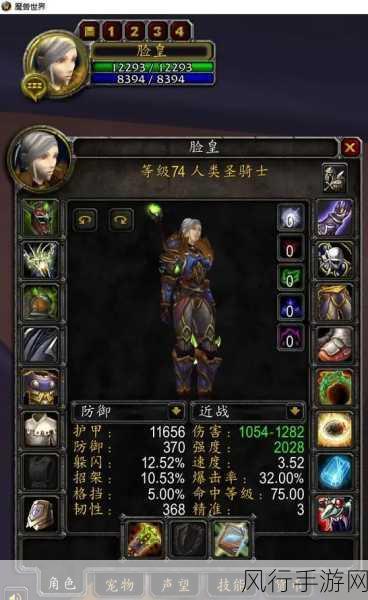 巫妖王怀旧服惩戒骑雕文-巫妖王怀旧服惩戒骑雕文全攻略✨⚔️