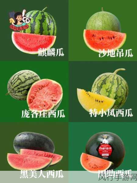 天天吃瓜网17-每天都吃新鲜瓜,精彩不断哦!🍉✨