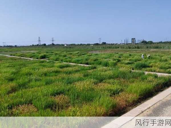 97精产国品一二三产区区别小说-探寻97精产国品的三大产业区区别🌾📊