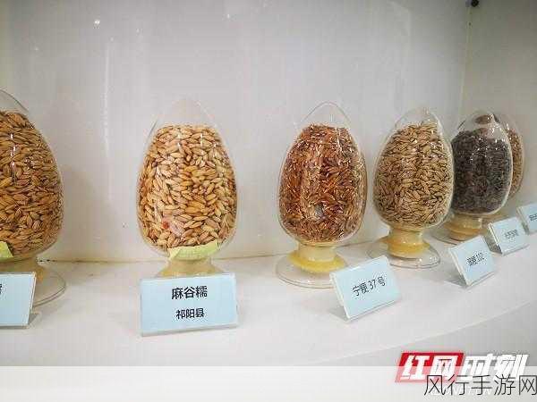 97精产国品一二三产区区别小说-探寻97精产国品的三大产业区区别🌾📊