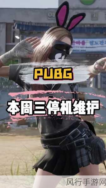 9.19pubg维护-9.19 PUBG服务器维护公告与更新内容 🔧🎮