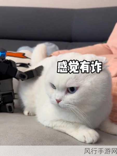 Lake宠物猫功能上线,吸金力大增庆祝世界猫日