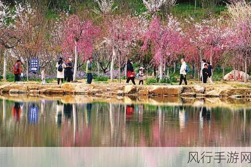 桃花深处水潺潺-桃花深处水潺潺，春意正浓🌸💧