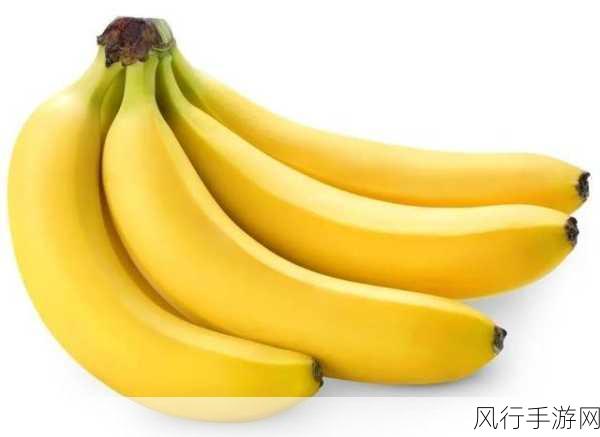 香蕉視頻1204-探索香蕉视频1204的精彩内容与乐趣🍌🎥